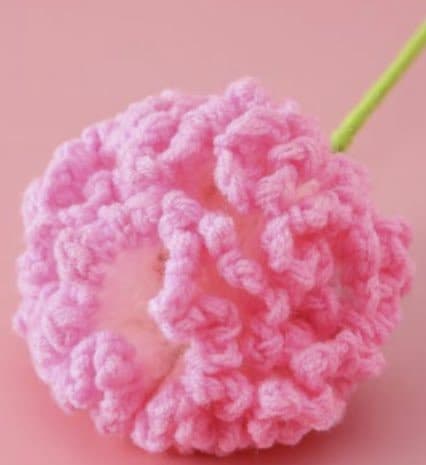 Pink Cloud Peony