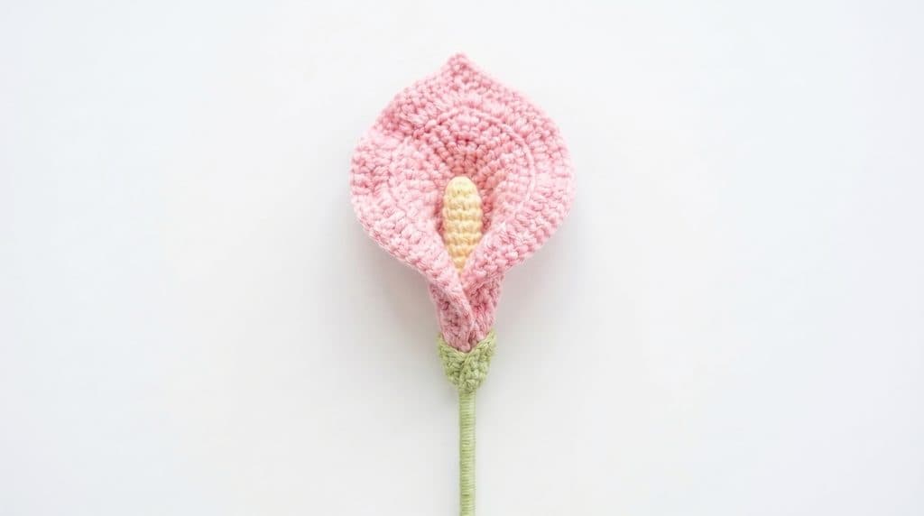 Pink Calla Lily
