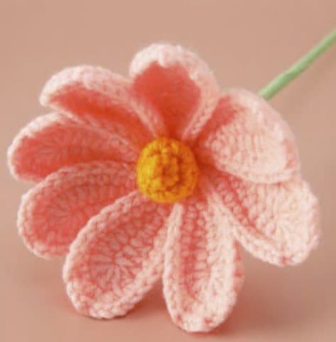 Coral Vivid Daisy
