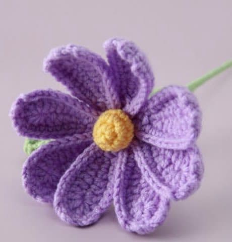 Purple Vivid Daisy