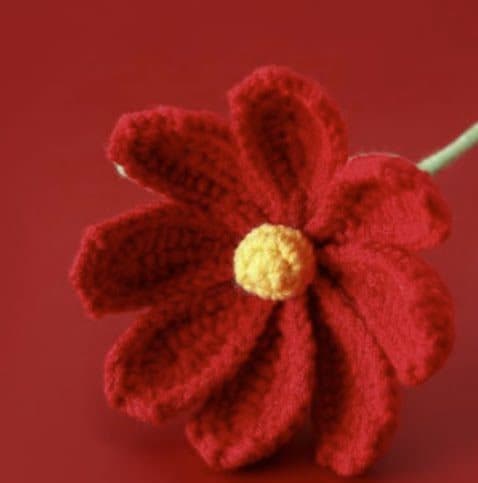 Red Vivid Daisy