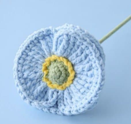 Sky Blue Gerbera Daisy