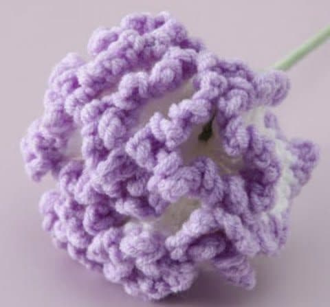 Lavender Cloud Peony