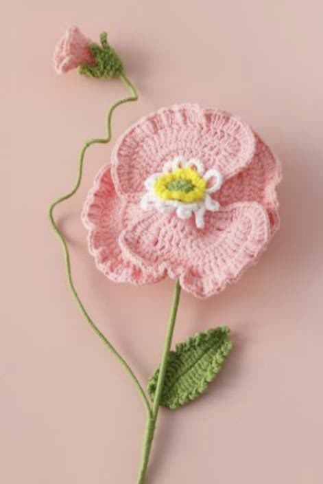 Light Pink Garden Peony