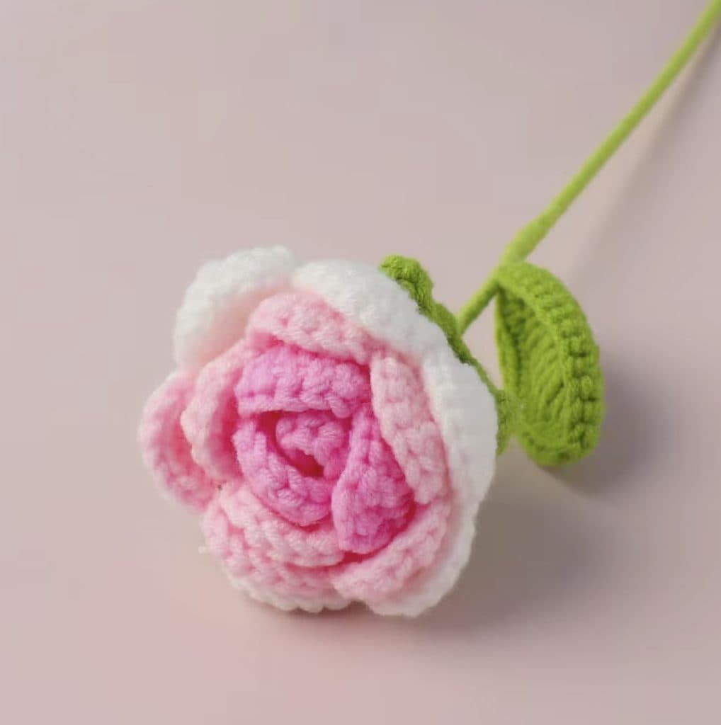 Pink Two-Tone Bloom