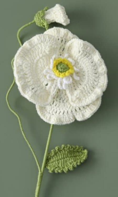 White Garden Peony
